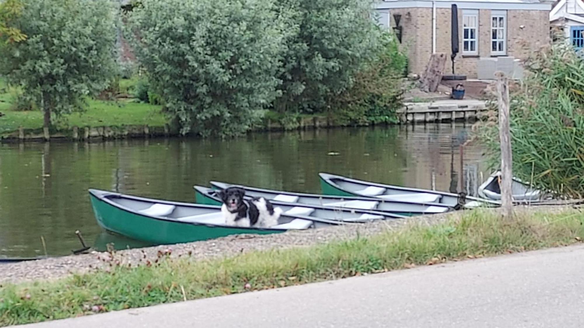 Buitenplaats Medemblik Extérieur photo